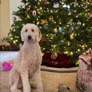 Meet your Posher, Debbie